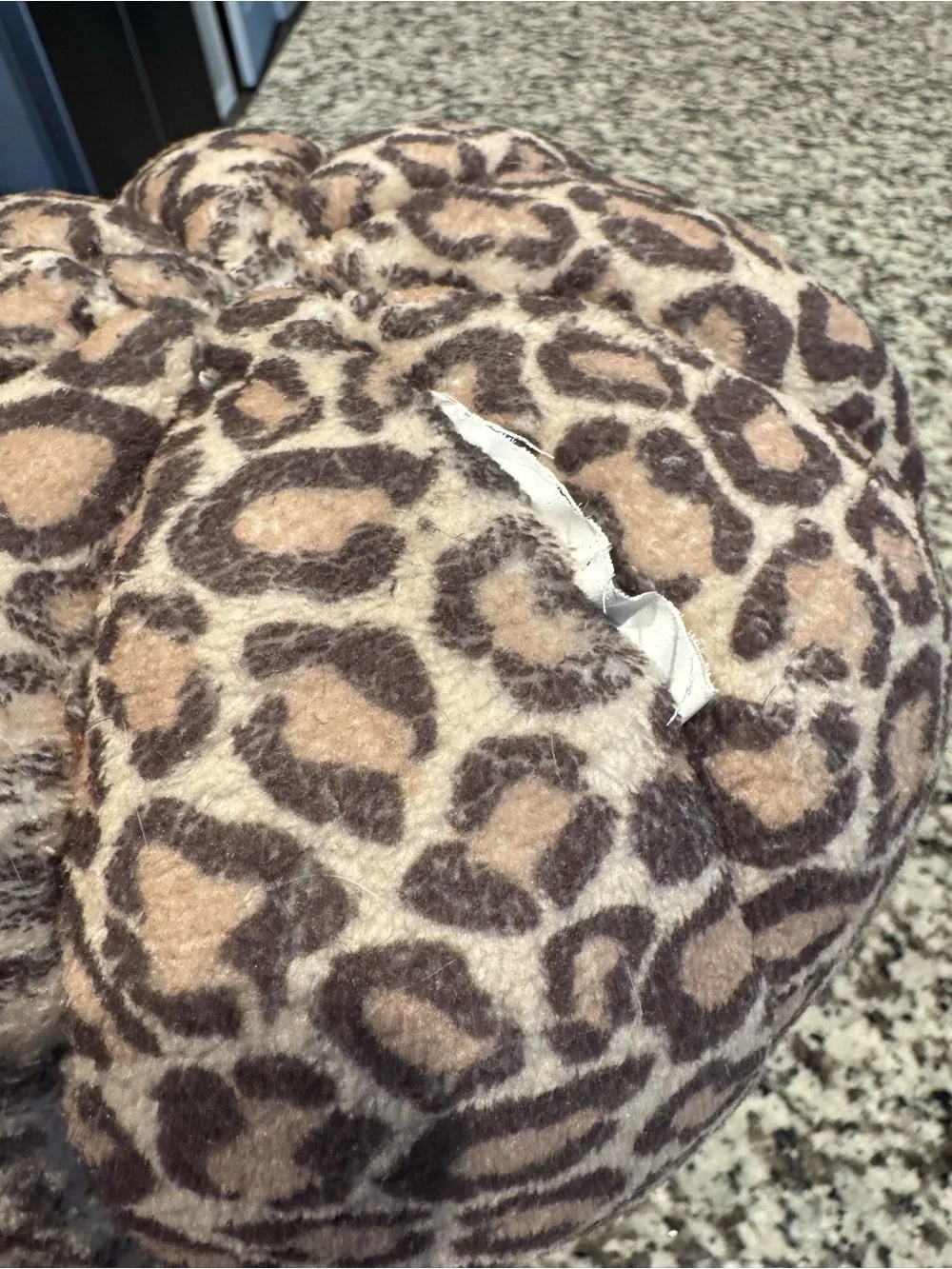 Leopard Print Pumpkin